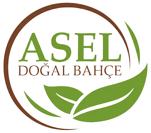  Bileklik, bilezik, broş, halhal, kolye, küpe, şahmeran ve yüzük Toptancısı | Özgün Tasarım Bijuteri Trend Bileklik Modelleri Kolye Toptancısı | Özgün Tasarım Bijuteri Zarif Kolye Modelleri Küpe Toptancısı | Özgün Tasarım Bijuteri Modern ve Trend Küpeler Yüzük Toptancısı | Özgün Tasarım Bijuteri Şık ve Kaliteli Yüzükler Halhal Toptancısı | Özgün Tasarım Bijuteri Yazlık & Trend Halhallar Şahmeran Toptancısı | Özgün Tasarım Bijuteri Zarif Şahmeran Modelleri Broş Toptancısı | Özgün Tasarım Bijuteri Özel Tasarım Broşlar